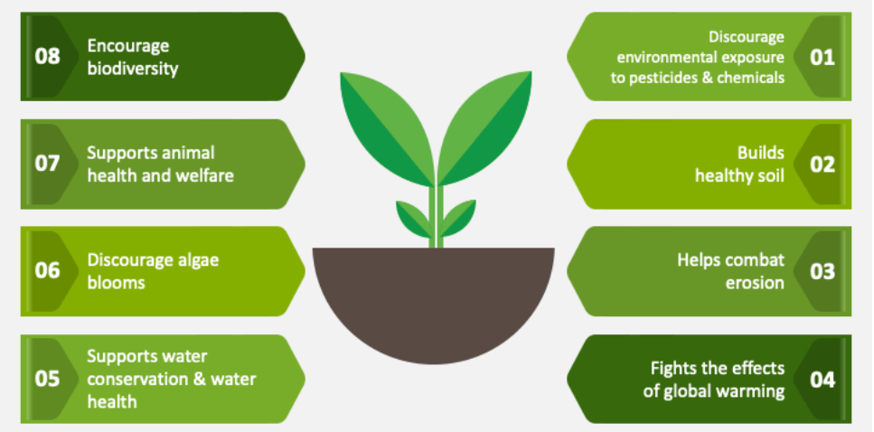 Natural Farming practices and farmer support in Telangana