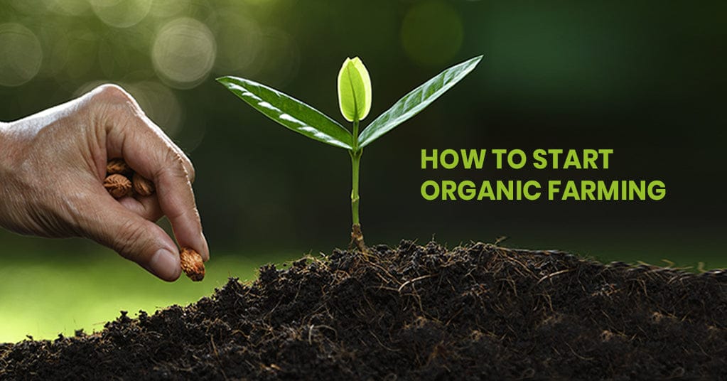 Organic Farming and sustainable agriculture in Telangana